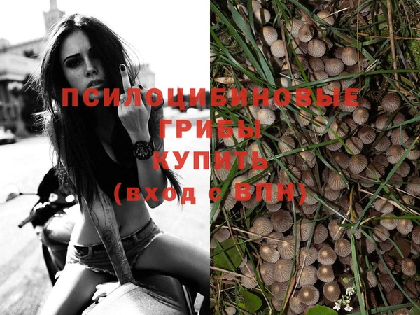 СК Козловка