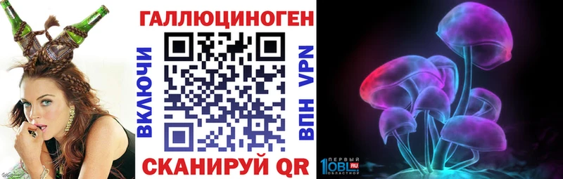 Галлюциногенные грибы Psilocybine cubensis  Купить  Демидов 